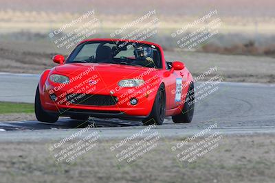media/Feb-04-2023-Turn8 Trackdays (Sat) [[beeaee2017]]/Intermediate 1/Session 3 (Outside Grapevine)/